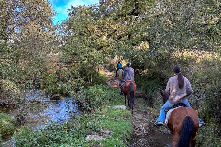 Horseback Wine Tasting in the Douro: Exclusive Farmhouse Ride & Brunch photo 6
