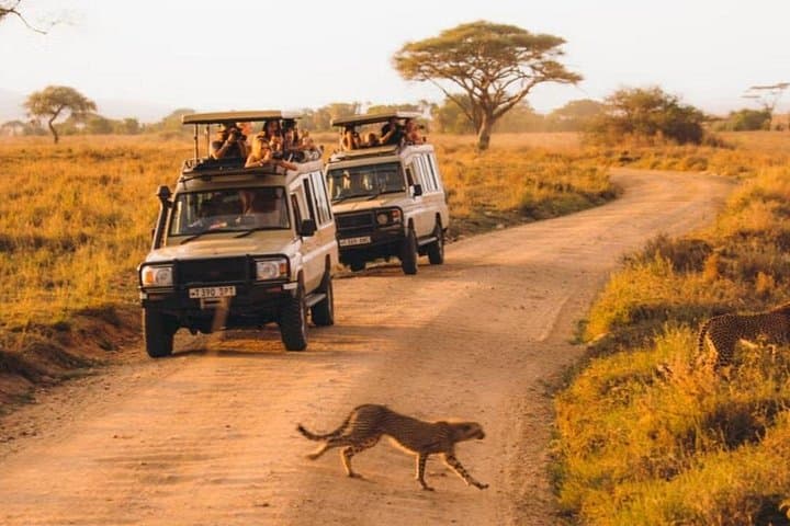 Kilimanjaro Climb via Marangu Route with Full-Day Tarangire Safari — 6-Day Summit Adventure