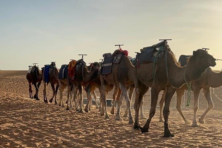 3-day-desert-tour-to-merzouga-from-marrakech-erg-chebbi-camel-trek