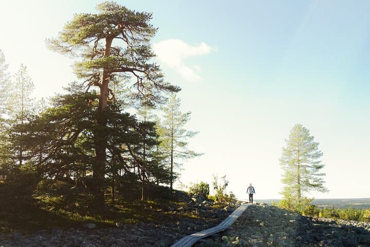 Kätkävaara Summer Hiking & Caves Tour — Rovaniemi Outdoor Adventure