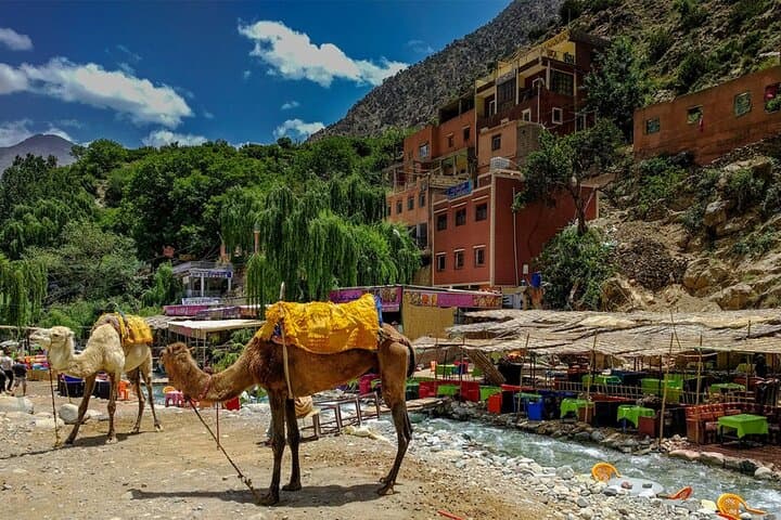 Private Atlas Mountains Day Trip to Ourika Valley & Setti Fatma Waterfalls photo 1