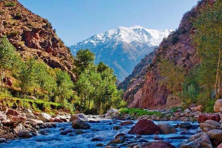 Private Atlas Mountains Day Trip to Ourika Valley & Setti Fatma Waterfalls photo 3