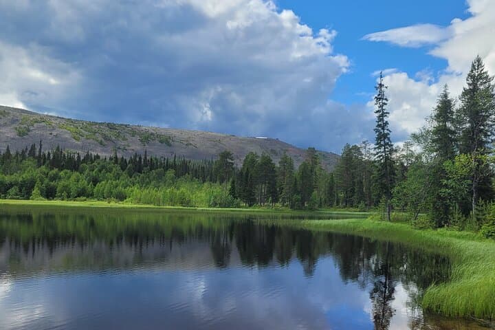 Private Hiking Tour in Pyhä–Luosto: Guided Lapland Hikes Under the Midnight Sun