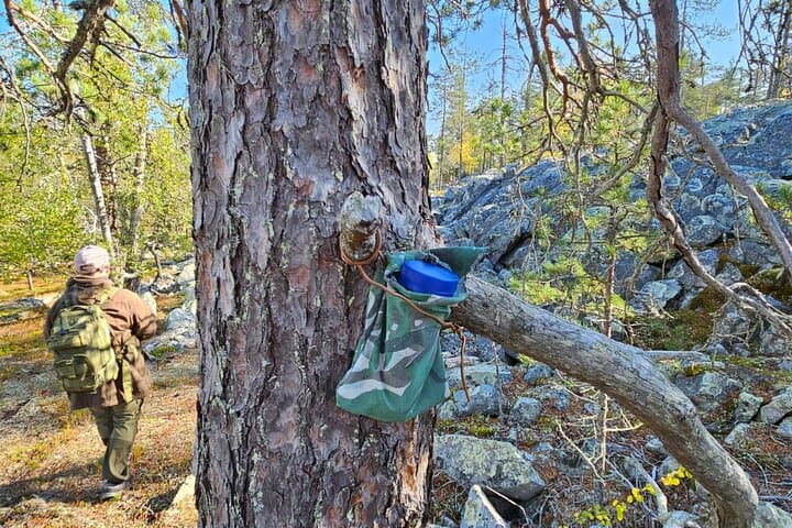 Private Hiking Tour in Pyhä–Luosto: Guided Lapland Hikes Under the Midnight Sun photo 5