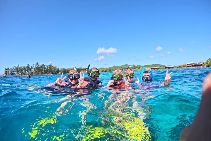 Private Roatan Snorkel Experience on the Mesoamerican Reef