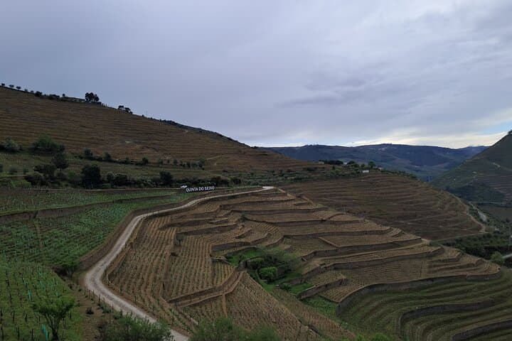 Douro Valley Private All-Inclusive Tour — Wine, Boat & São Leonardo Views photo 5