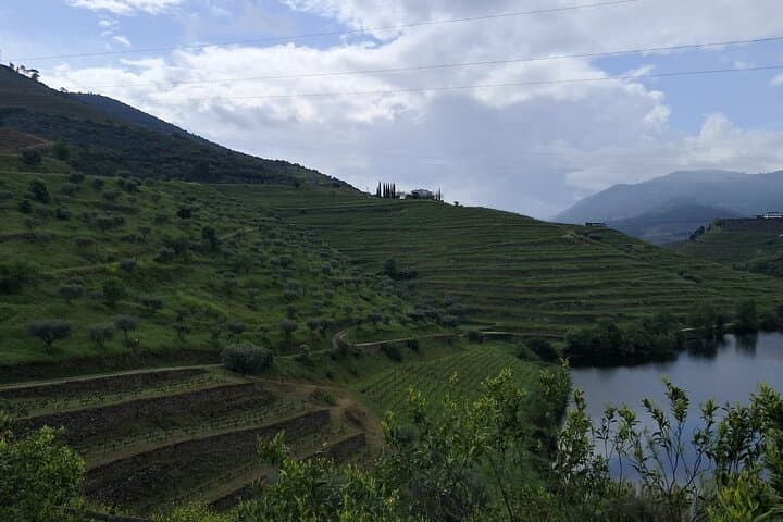 Douro Valley Private All-Inclusive Tour — Wine, Boat & São Leonardo Views photo 6