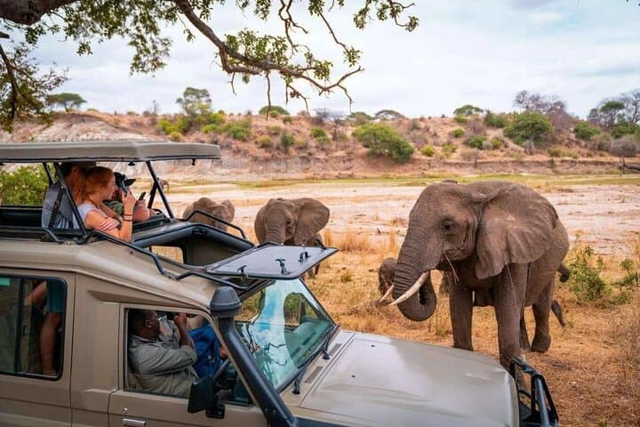 8-Day Best of Kenya Wildlife Private Safari: Amboseli to Maasai Mara photo 3