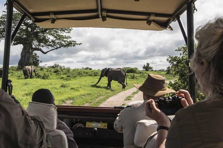 8-Day Best of Kenya Wildlife Private Safari: Amboseli to Maasai Mara photo 2