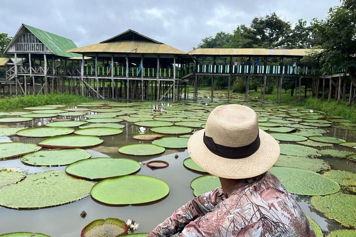 Flor de Loto Nature Reserve Day Tour — Victoria Regia & Amazon Wildlife