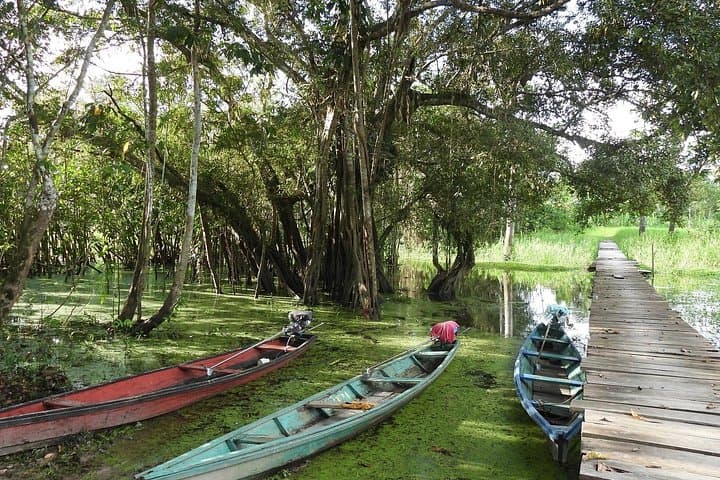 Flor de Loto Nature Reserve Day Tour — Victoria Regia & Amazon Wildlife photo 2