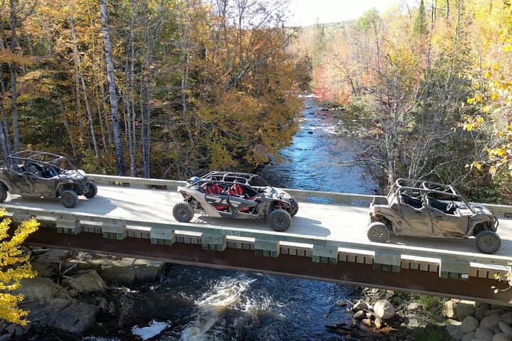 Laurentians Guided Buggy Tour Through Quebec's Forest Trails photo 2