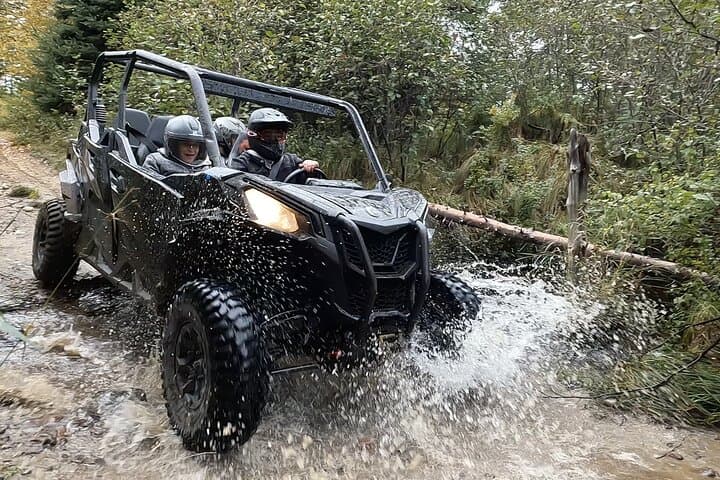 Laurentians Guided Buggy Tour Through Quebec's Forest Trails photo 3