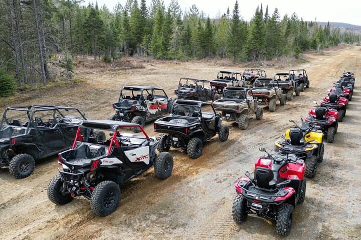Laurentians Guided Buggy Tour Through Quebec's Forest Trails photo 5