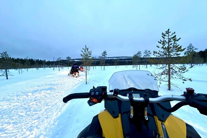 Levi Snowmobile Safari: 3-Hour Riverside Lodge Small-Group Ride