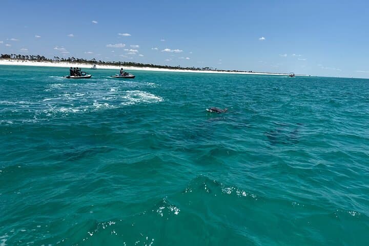 Shell Island Jet Ski Tour: 2-Hour Guided Dolphin & Wildlife Ride from Panama City Beach photo 5