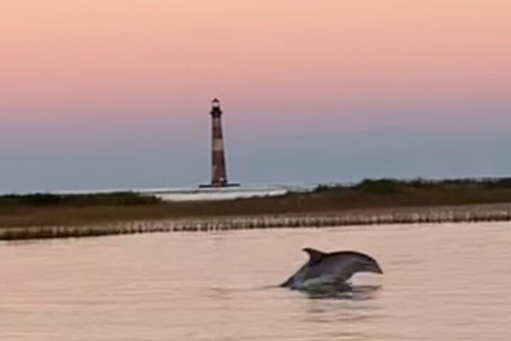 Folly River Dolphin Cruise to Morris Island Lighthouse — Charleston Boat Tour photo 1