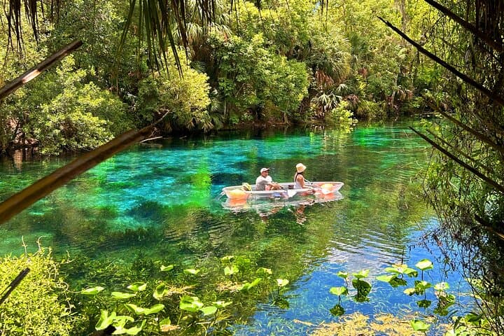 Silver Springs Jungle Kayaking & Paddleboarding: Self-Guided Paddling on the Silver River photo 5