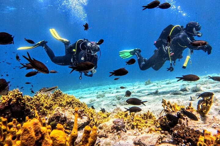 Beginner PADI Discover Scuba Diving in Ouranoupoli, Chalkidiki — 45-Min Underwater Intro