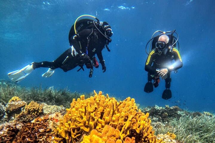 Beginner PADI Discover Scuba Diving in Ouranoupoli, Chalkidiki — 45-Min Underwater Intro photo 4
