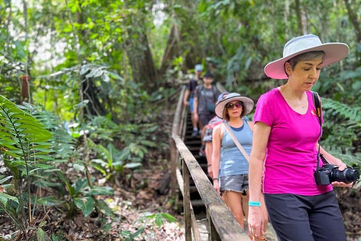 Veragua Rainforest Eco Adventure & Original Canopy Tour — Gondola, Trails & Ziplines photo 4