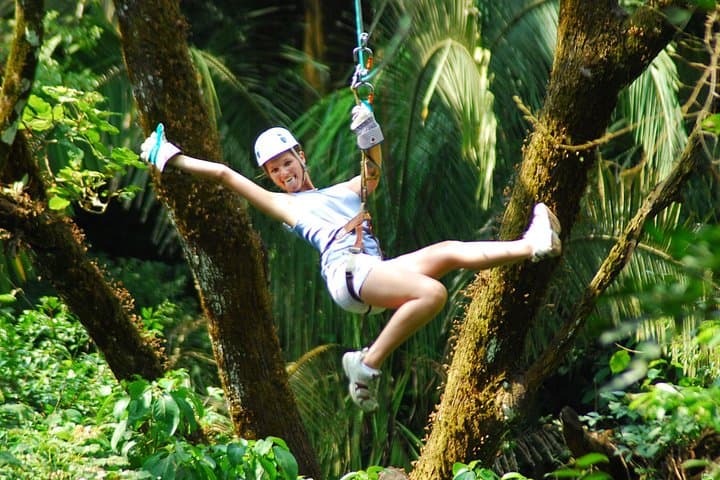 Canopy Zipline Adventure at Veragua Rainforest: 11-Platform Tour Over Pristine Caribbean Jungle photo 3