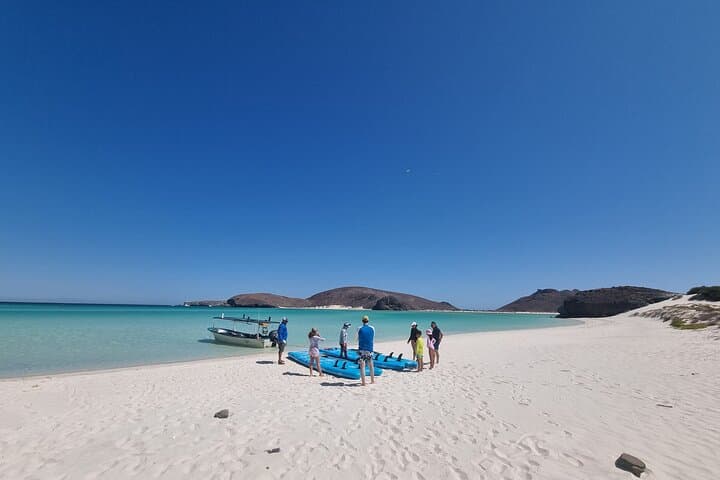 Paddle Balandra: Mega Paddleboards, Mangroves and Snorkeling with Sea Lions photo 3