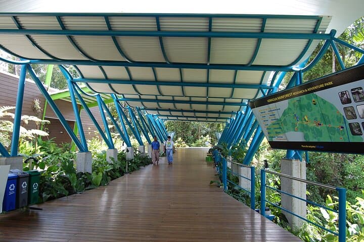 Sky Gondola Through Veragua Rainforest: Canopy Tram, Trails & Puma Waterfall photo 5