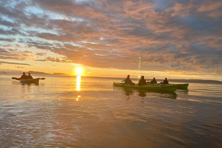 Cafes and Kayaks: Full-Day Rosario-to-Olga Kayak Trip on Orcas Island photo 3