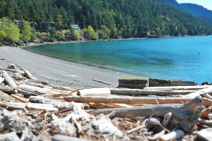 Cafes and Kayaks: Full-Day Rosario-to-Olga Kayak Trip on Orcas Island photo 4