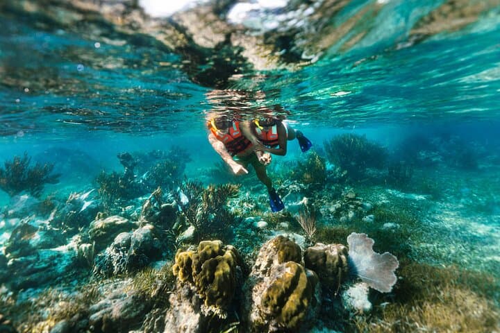 Puerto Morelos Reef Snorkel from Cancun with Beachside Lunch photo 5