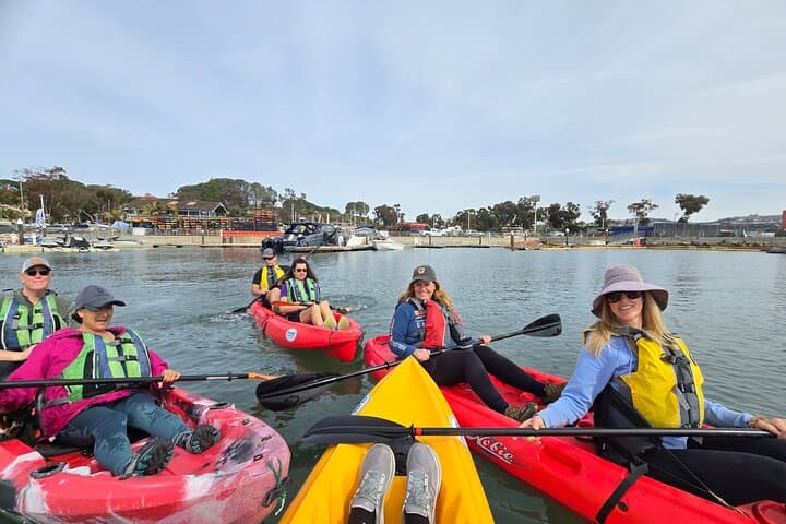 Dana Point Half-Day Kayak and Coastal Cave Hike