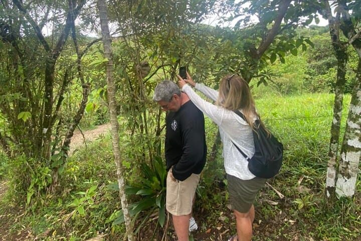 Corobicí River Float & Sloth Encounter — Tropical Wonders Day Tour from Liberia photo 5