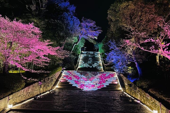 Customizable Kyoto Private Day Tour with English Chauffeur — Arashiyama, Temples & Markets photo 4