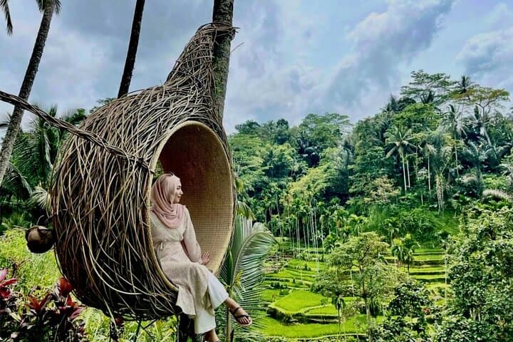 Ubud Private Waterfalls and Tirta Empul Temple Tour — Tegalalang & Tegenungan Day Trip photo 6