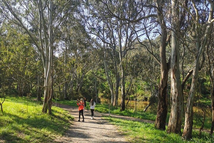 Walk the Yarra River & Historic Boathouse Lunch — Melbourne Urban Nature Walk photo 4