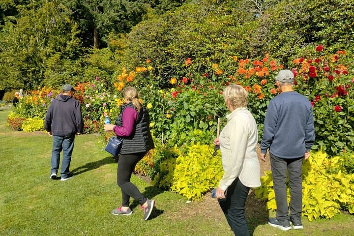 Stanley Park VIP Car Tour: Small-Group Comfort & Best Sights in 2 Hours photo 3