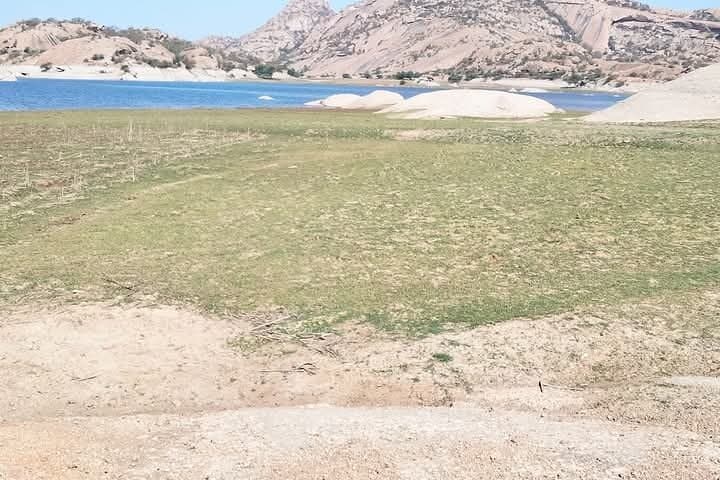 Udaipur and Jawai Leopard Safari: 5-Day Private Tour from Udaipur