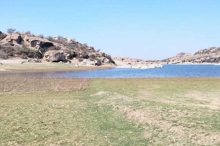 Udaipur and Jawai Leopard Safari: 5-Day Private Tour from Udaipur photo 3
