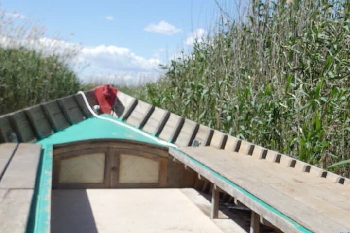 Port Saplaya and Albufera Day Trip from Valencia: Boat Ride, Dunes & Authentic Paella photo 4