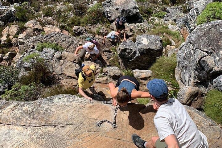 Table Mountain Guided Hike — Cape Town Summit Walk & Fynbos Views photo 2