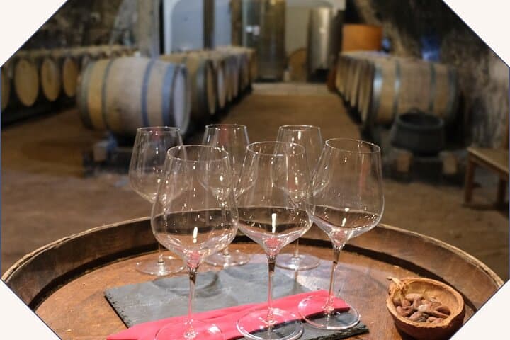 Beaujolais Wine & Chocolate Tasting: Vineyard Tour and Pairing Workshop Near Lyon photo 3