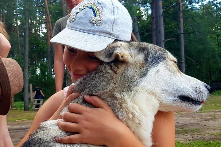 Husky Trekking Near Vilnius: Forest Walks with Sled Dogs in a Natural Park photo 5