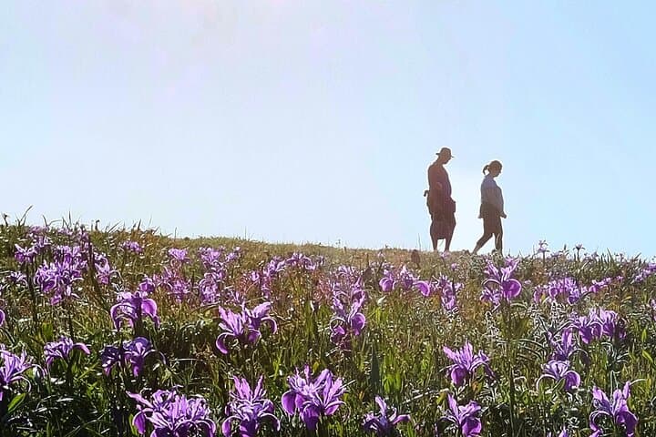 Bodega Head Self-Guided Audio Walk: Cliff Views, Whales & Tidepools photo 5