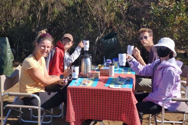 7-Day Lemosho Route Private Kilimanjaro Trek from Moshi photo 2