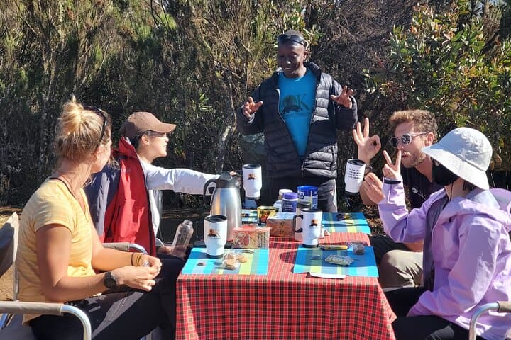 7-Day Lemosho Route Private Kilimanjaro Trek from Moshi photo 3