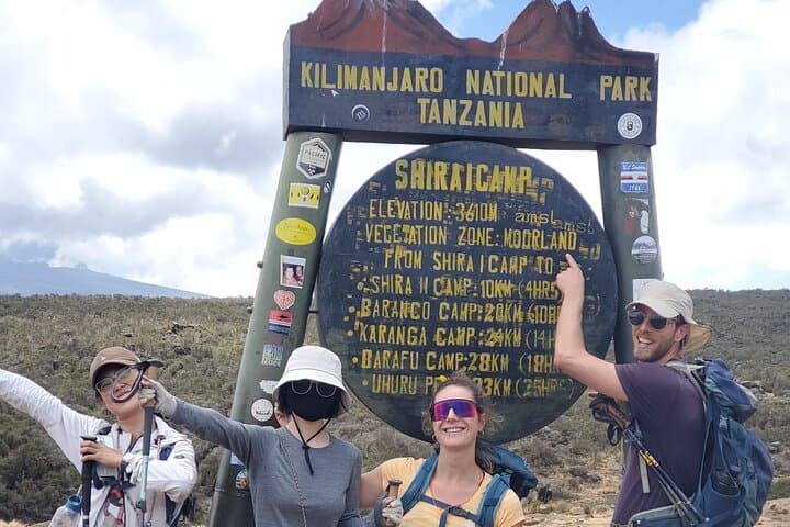 7-Day Lemosho Route Private Kilimanjaro Trek from Moshi