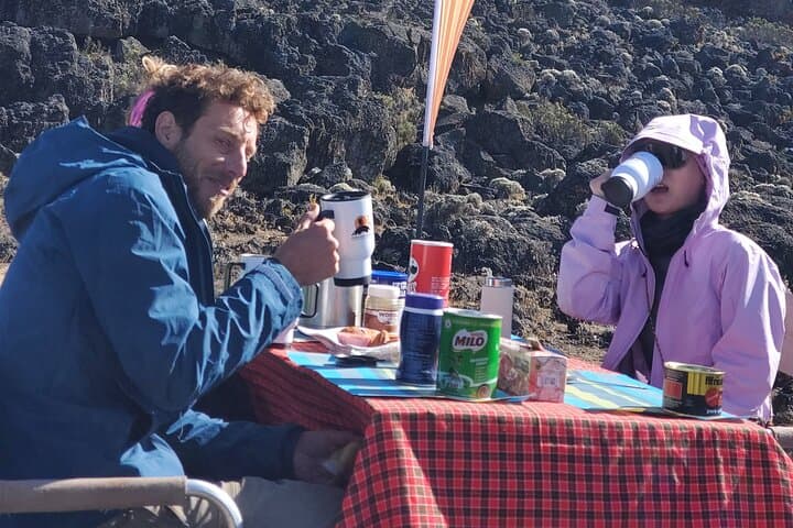 7-Day Lemosho Route Private Kilimanjaro Trek from Moshi photo 4