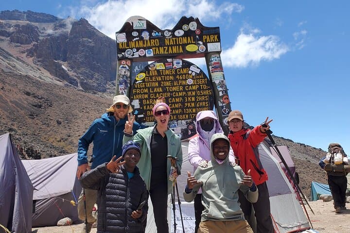 7-Day Lemosho Route Private Kilimanjaro Trek from Moshi photo 5
