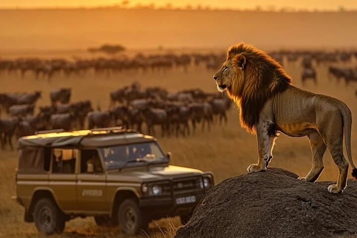Maasai Mara Overnight Safari: Big Five and Mara River Picnic from Nairobi photo 2